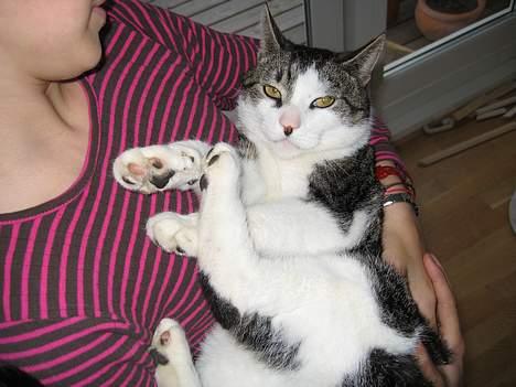 Huskat Charlie - ja sådan her ender jeg altid ! "håber der ikke er nogle piger der ser mig !) for så blir der ikke så mange date i dene her uge:( billede 7