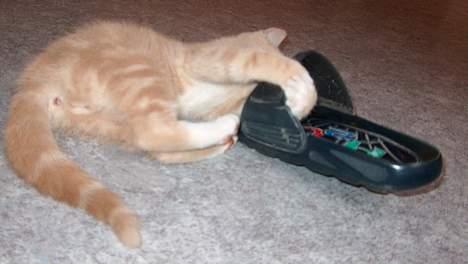 Huskat Casper <'3Miin<'3 - Haha !   Nu har jeg dig, klip klap ! billede 14