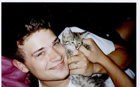 Blanding af racer tiger - Mig og min søde fra..... billede 8