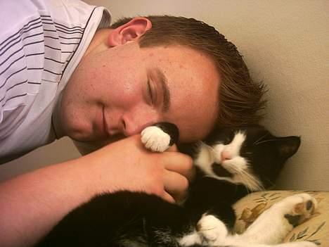 Blanding af racer Manse (Død) R.I.P billede 9