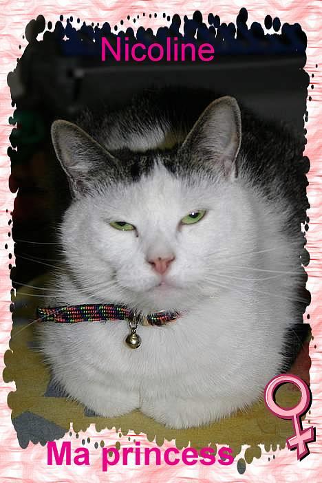 Huskat Nicoline (Myre) - er jeg ikke sød billede 6