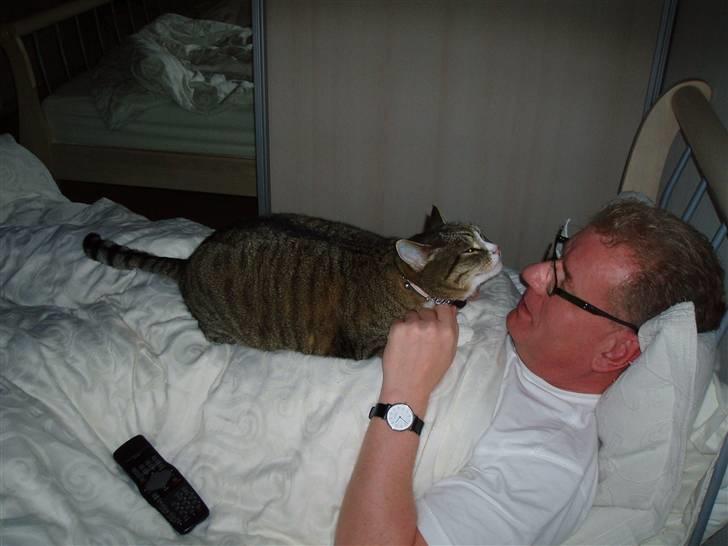 Huskat Sally - Sally som mus :) billede 9