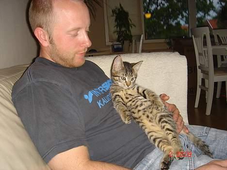 Huskat Simba - Er jeg ik bare sød. billede 2