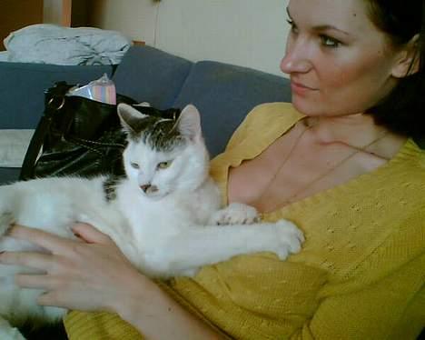 Huskat Cecil billede 4