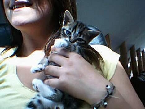 Huskat værner (død) billede 9