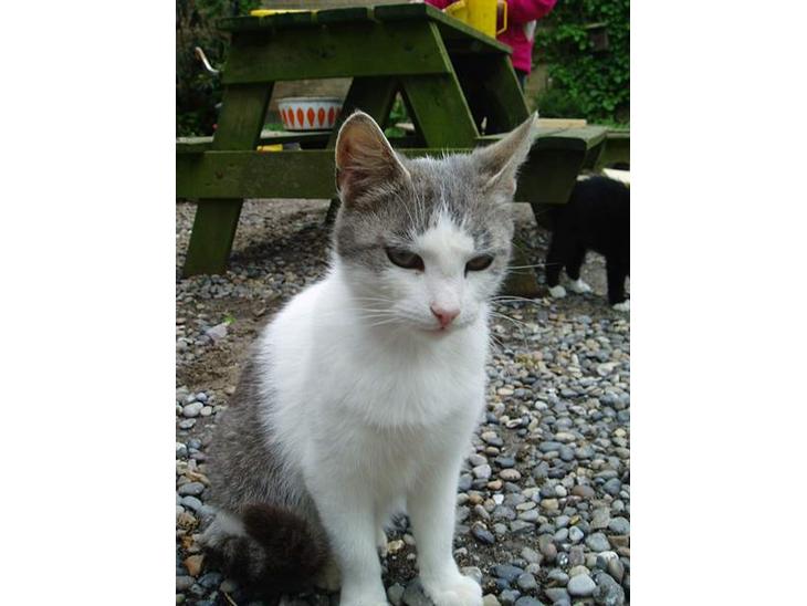 {{currentPhoto.altText}} billede {{currentPhoto.number}}