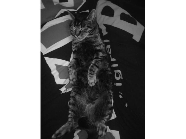 {{currentPhoto.altText}} billede {{currentPhoto.number}}