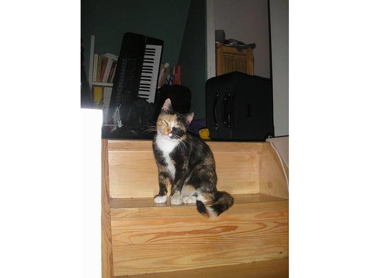 {{currentPhoto.altText}} billede {{currentPhoto.number}}