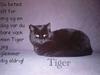 Huskat Tiger *Død*