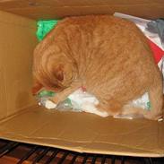 Blanding af racer Garfield    R.I.P.