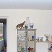 Blanding af racer Tarzan