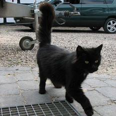 Blanding af racer Hexalitrix - forsvundet