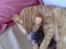 Huskat Oliver alias basse