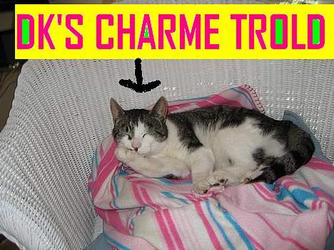Huskat Charlie - ja pigerne de kan iværtfal li mig ......! tror jeg nok .? billede 15