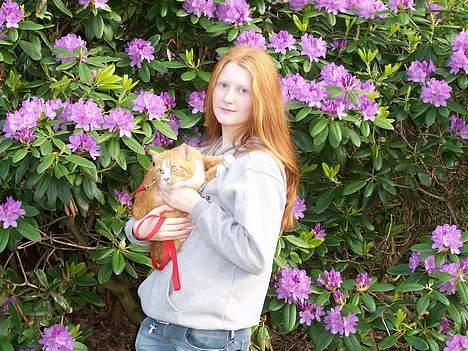 Huskat Thilde <33 - 11/6-06 - Anisa & thilde .. Thilde prøver ivrigt at komme ned,som tydeligt kan ses ;b "jeg hader at blive båret op, jeg har 4 ben, skal ud og opleve verden"! billede 4