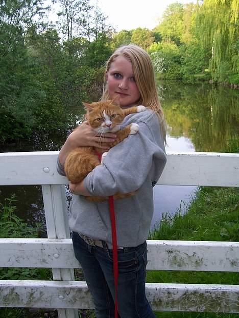 Huskat Thilde <33 - 11/6-06 Nårh <3 Bella & Thilde på den hvide bro lige ude foran den dejlige smukke sø i skoven ;D billede 7