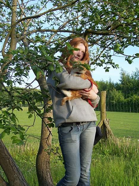 Huskat Thilde <33 - 11/6-06 Thilde & Anisa står oppe i et træ og nyder udsigten til hestefolden med Klaus & Hanni <3 billede 10