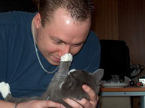 Huskat My - "Haps" Jeg har din næse far billede 10