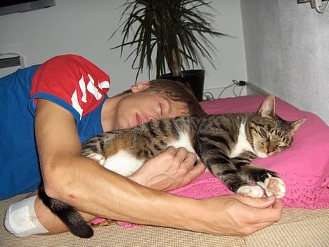 Huskat Eddie billede 1