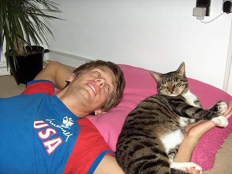 Huskat Eddie billede 3