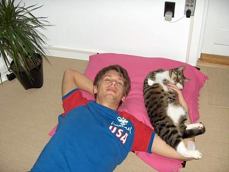 Huskat Eddie billede 5