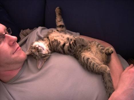 Huskat Mille - Er lige gået kold hos far billede 12