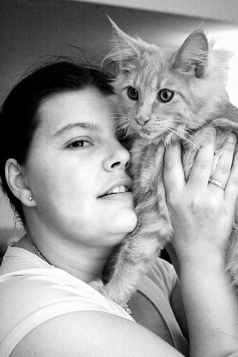 Maine Coon iron maiden billede 7