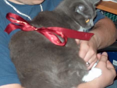 Huskat My - Mooor.. Jeg er da ikke nogen pakke.. NÅÅ billede 12