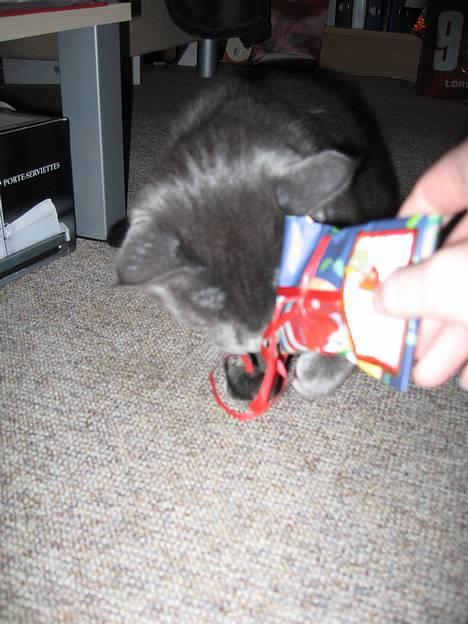 Huskat Banditten - hvad er det mon?? billede 3