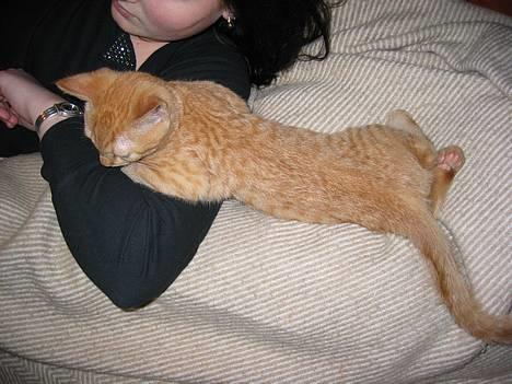 Huskat Felix - se lige mig jeg har erorbret *MT´s arm jubii... (MT er min storesøster *MT: M=Marie, T=Therese:= Marie Therese hehe) billede 2