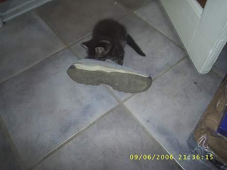 Huskat theis - HEY er du død sig lige noget hallo xD billede 9