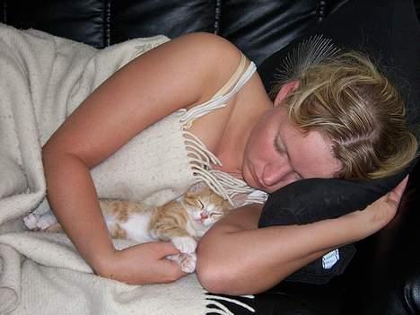 Huskat Tot - ´kan godt li´ at putte billede 6