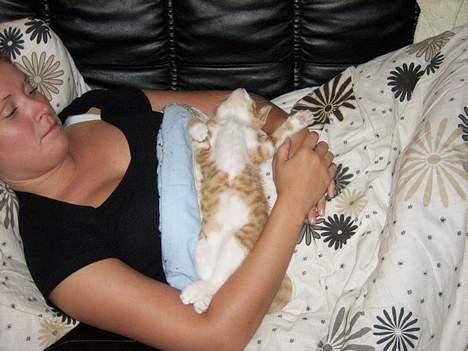 Huskat Tot billede 10