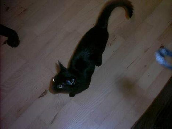 {{currentPhoto.altText}} billede {{currentPhoto.number}}