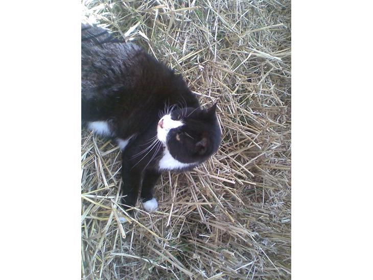 {{currentPhoto.altText}} billede {{currentPhoto.number}}