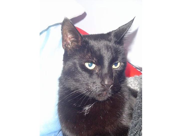 {{currentPhoto.altText}} billede {{currentPhoto.number}}