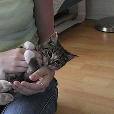 Blanding af racer Peaches