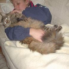 Blanding af racer Aicha