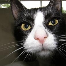 Huskat Trunte *R.I.P*