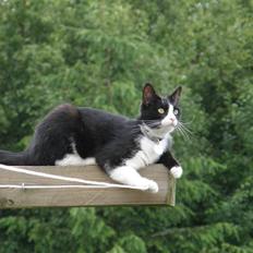 Huskat Trunte *R.I.P*