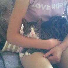 Huskat Lillebror (basse)