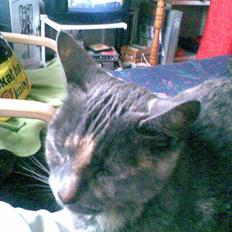 Huskat Frederikke død