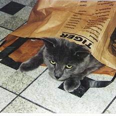 Blanding af racer Futte