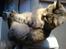 Maine Coon MC Ejner :)