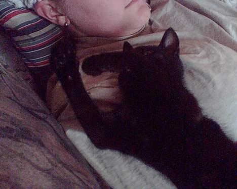 Huskat speedy billede 6