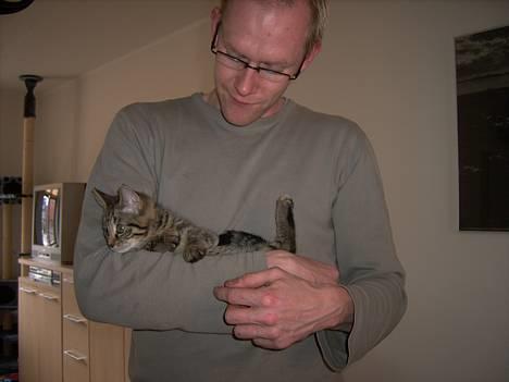 Huskat Mille - Mig og min far. En af mine første dage hos min familie billede 14