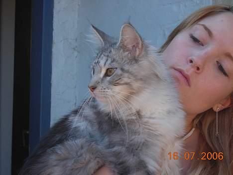 Maine Coon DK coon Vally`s Alaska - mig og min "mor" billede 6
