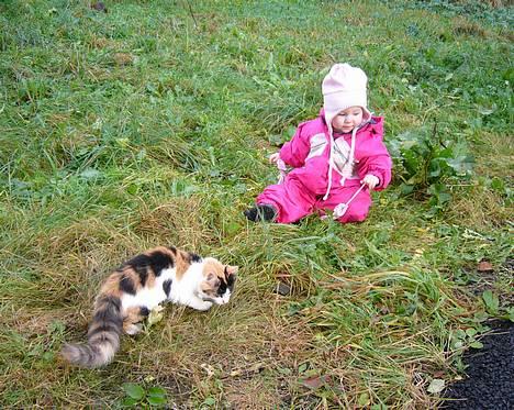 Huskat Tequila - Julie og Tequila :o) <3 billede 16