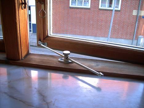 Huskat Mille - Far og mor har sørget for at de kan lufte ud og vi kan blive inde billede 20