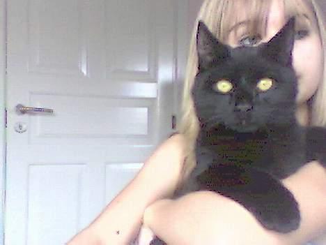 Huskat Kazpar billede 4